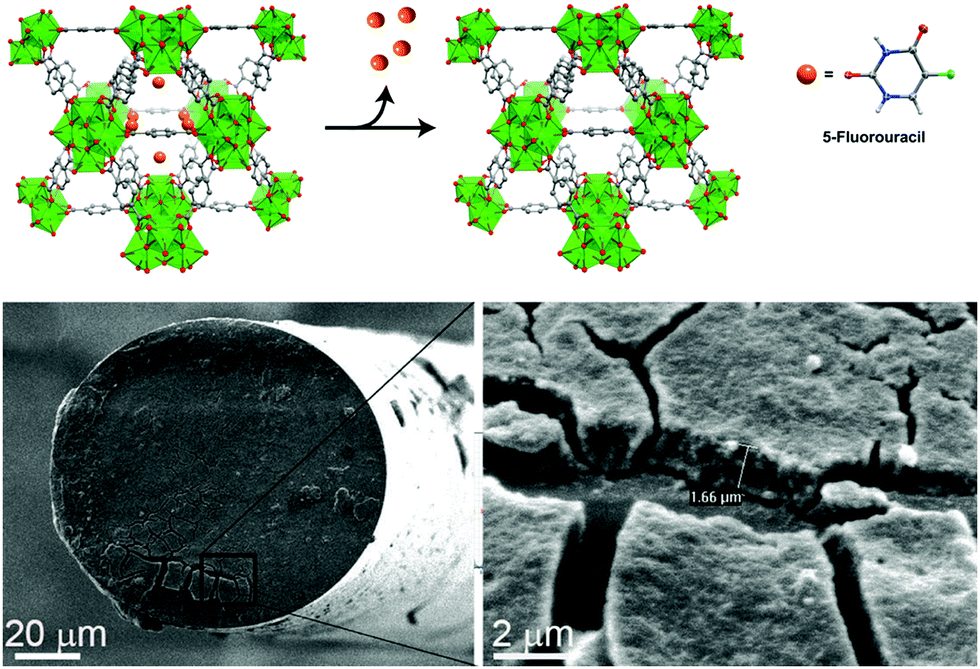 Metal–organic frameworks: a future toolbox for biomedicine