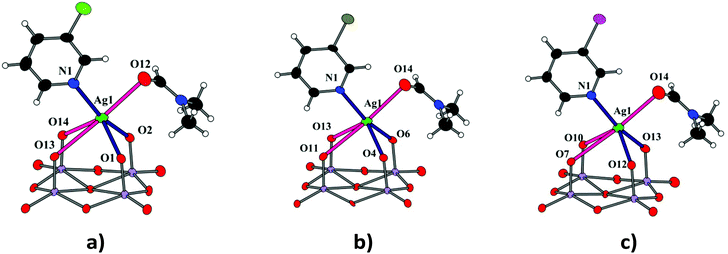 AgL 2 Mo 8 O 26 n complexes a combined experimental and