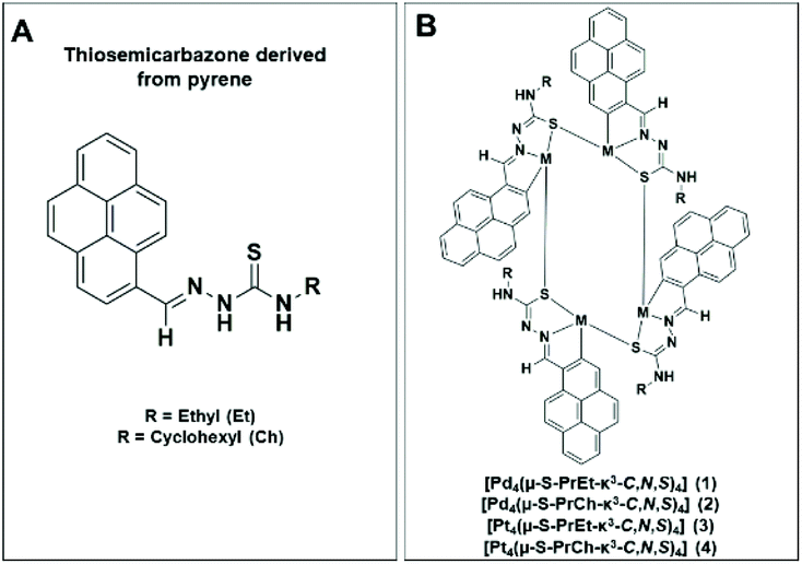 Novel tetranuclear Pd II and Pt II anticancer complexes derived from pyrene  thiosemicarbazones - Dalton Transactions (RSC Publishing)  DOI:10.1039/D0DT01133A
