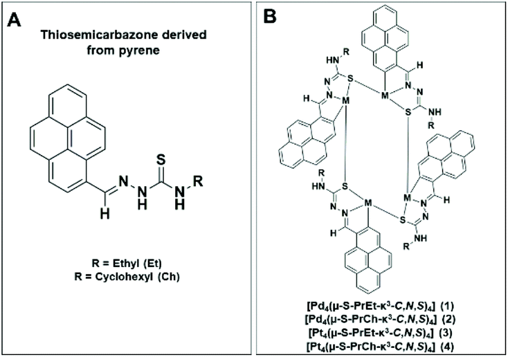 Novel Tetranuclear Pd Ii And Pt Ii Anticancer Complexes Derived From Pyrene Thiosemicarbazones Dalton Transactions Rsc Publishing Doi 10 1039 D0dta