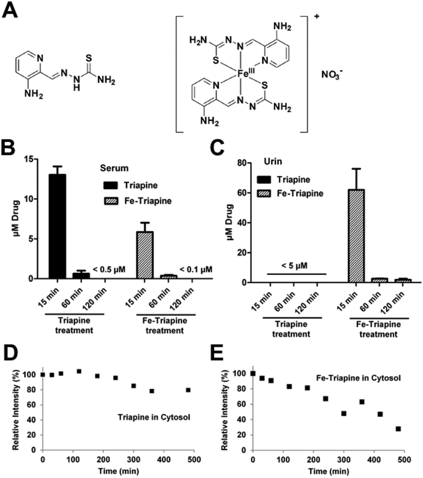 Recent Advances In Iron Complexes As Drug Candidates For Cancer Therapy Reactivity Mechanism Of Action And Metabolites Dalton Transactions Rsc Publishing Doi 10 1039 D0dtk