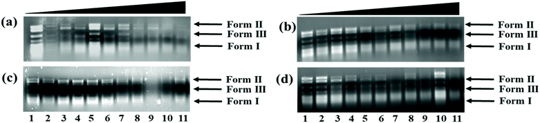 Water Soluble Ionic Co Ii Cu Ii And Zn Ii Diimine Glycinate Complexes Targeted To Trna Structural Description In Vitro Comparative Binding Dalton Transactions Rsc Publishing Doi 10 1039 D0dtc