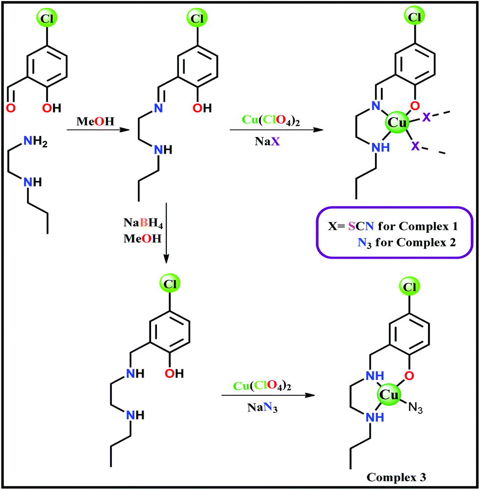 Structure And Synthesis Of Copper Based Schiff Base And Reduced Schiff Base Complexes A Combined Experimental And Theoretical Investigation Of Biomim Dalton Transactions Rsc Publishing Doi 10 1039 D0dtg