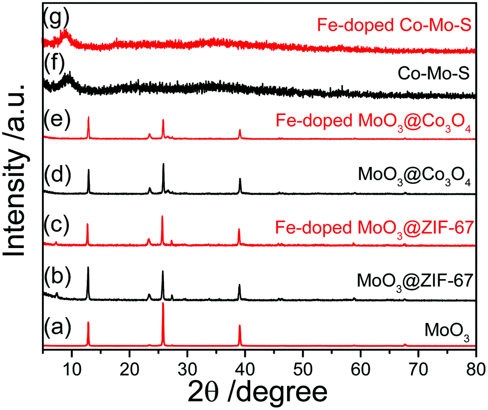 Fe-Doped Co–Mo–S microtube: a highly efficient bifunctional 