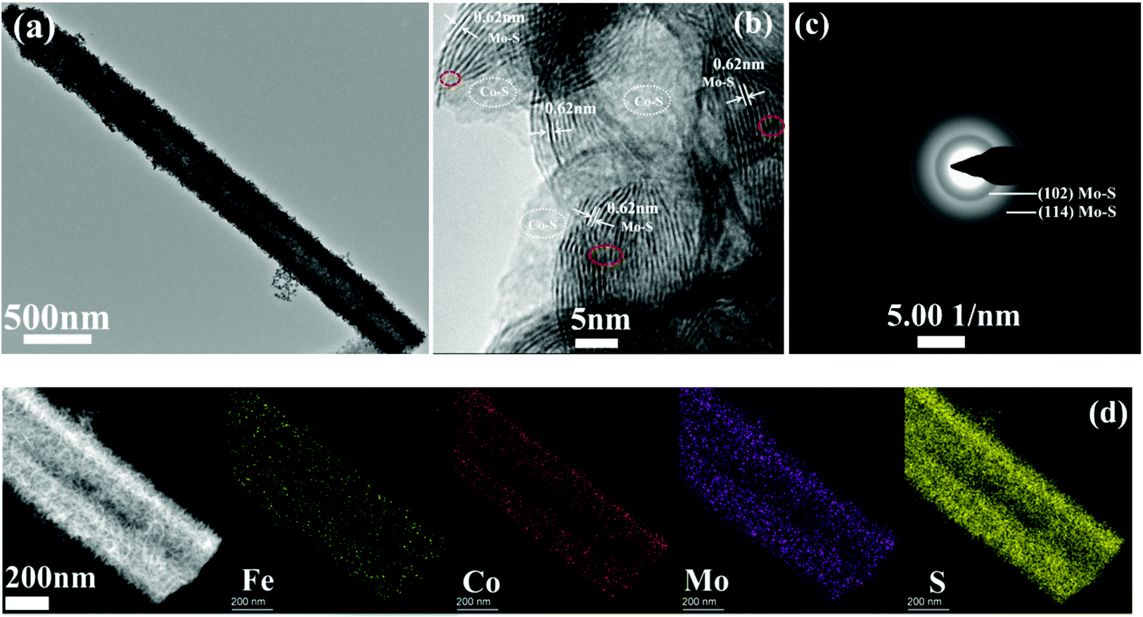 Fe-Doped Co–Mo–S microtube: a highly efficient bifunctional 