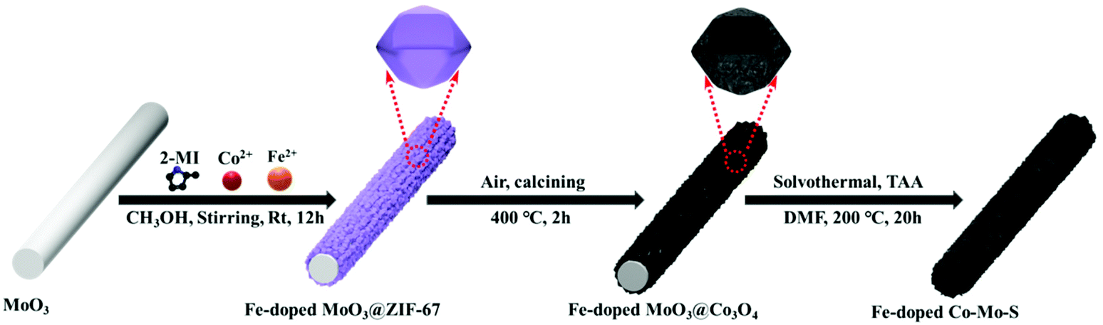 Fe-Doped Co–Mo–S microtube: a highly efficient bifunctional 