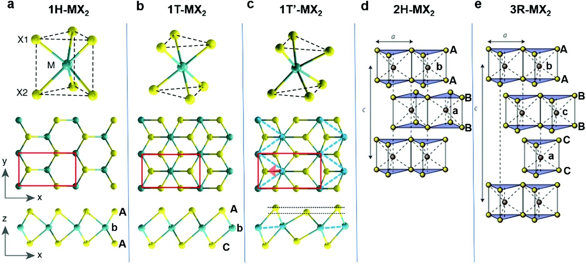 オーダー専用ページ Frontiers | The Endoplasmic Reticulum Chaperone GRP170: From