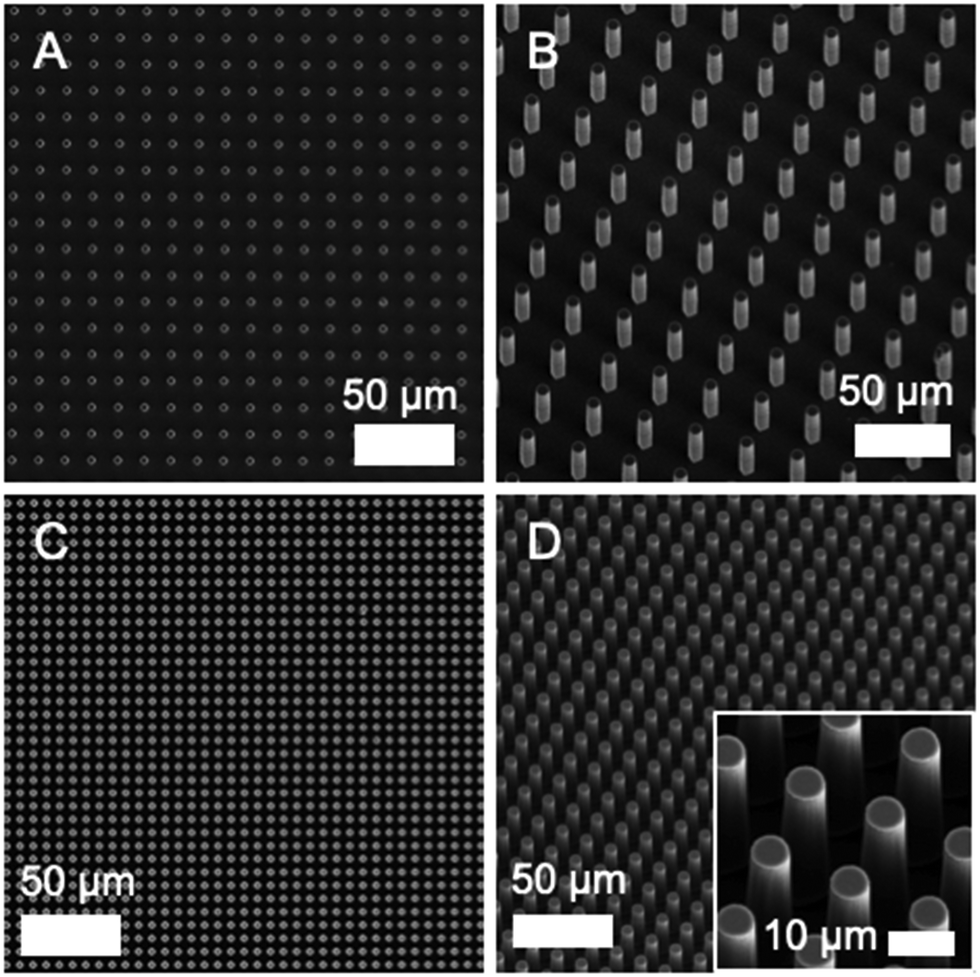 Effects Of Bubbles On The Electrochemical Behavior Of Hydrogen Evolving Si Microwire Arrays Oriented Against Gravity Energy Environmental Science Rsc Publishing Doi 10 1039 D0eee