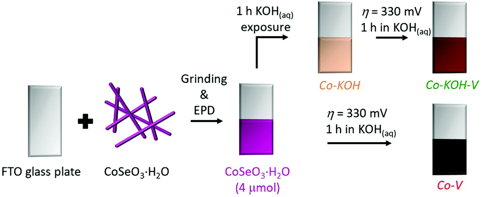 Understanding The Formation Of Bulk And Surface Active Layered Oxy Hydroxides For Water Oxidation Starting From A Cobalt Selenite Precursor Energy Environmental Science Rsc Publishing Doi 10 1039 D0eeg