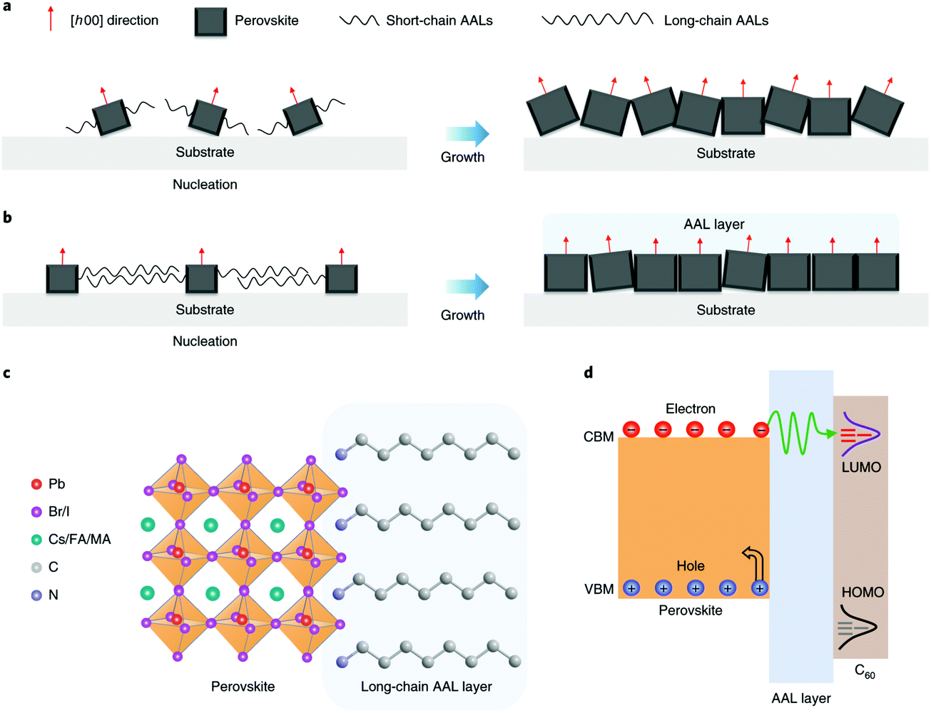 Current status and trends of carbon-based electrodes for