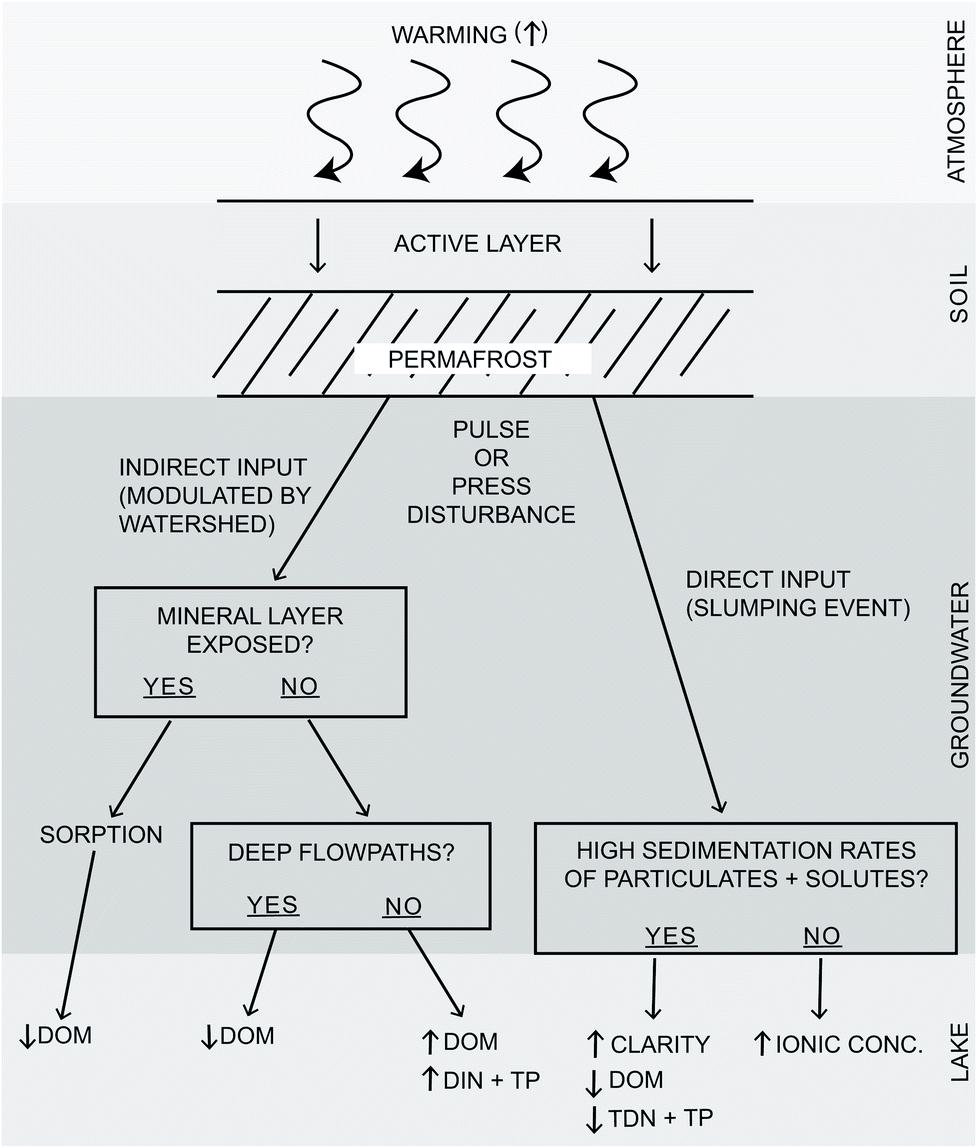 Cross Ecosystem Nutrient Subsidies In Arctic And Alpine Lakes Implications Of Global Change For Remote Lakes Environmental Science Processes Impacts Rsc Publishing Doi 10 1039 C9em00528e