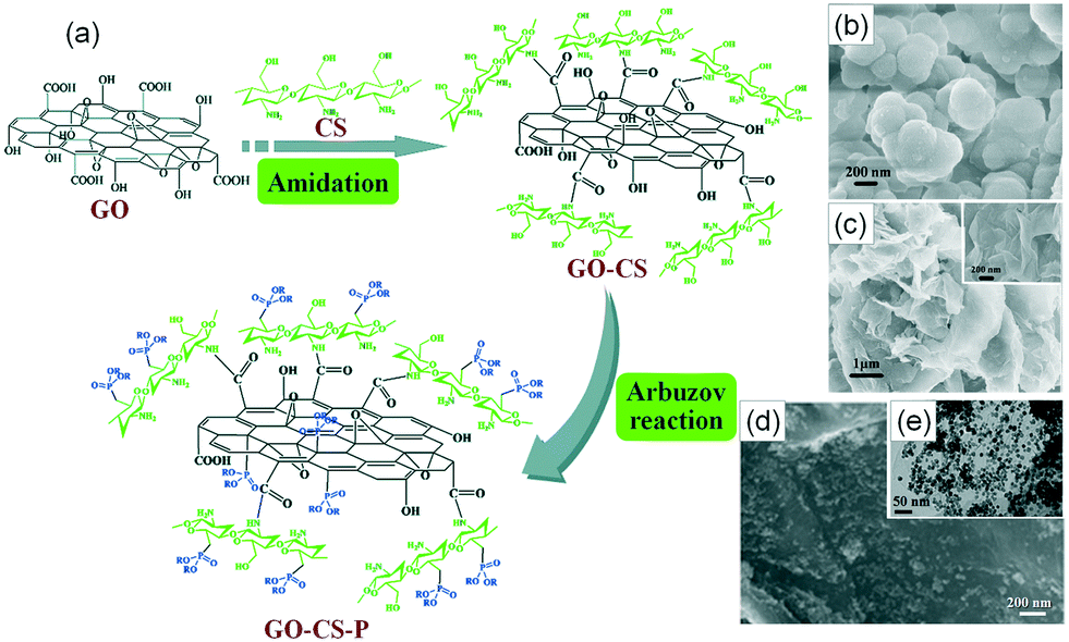 Design and Application of Materials for Sequestration and Immobilization of  99Tc