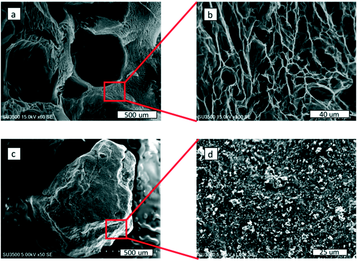 Improved Graphene-Oxide-Derived Carbon Sponge for Effective