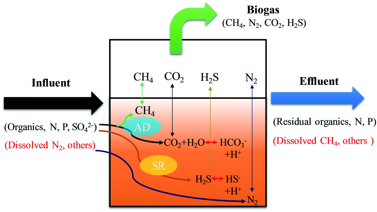 A Review Of Anaerobic Membrane Bioreactors For Municipal Wastewater Treatment With A Focus On Multicomponent Biogas And Membrane Fouling Control Environmental Science Water Research Technology Rsc Publishing Doi 10 1039 D0ewb