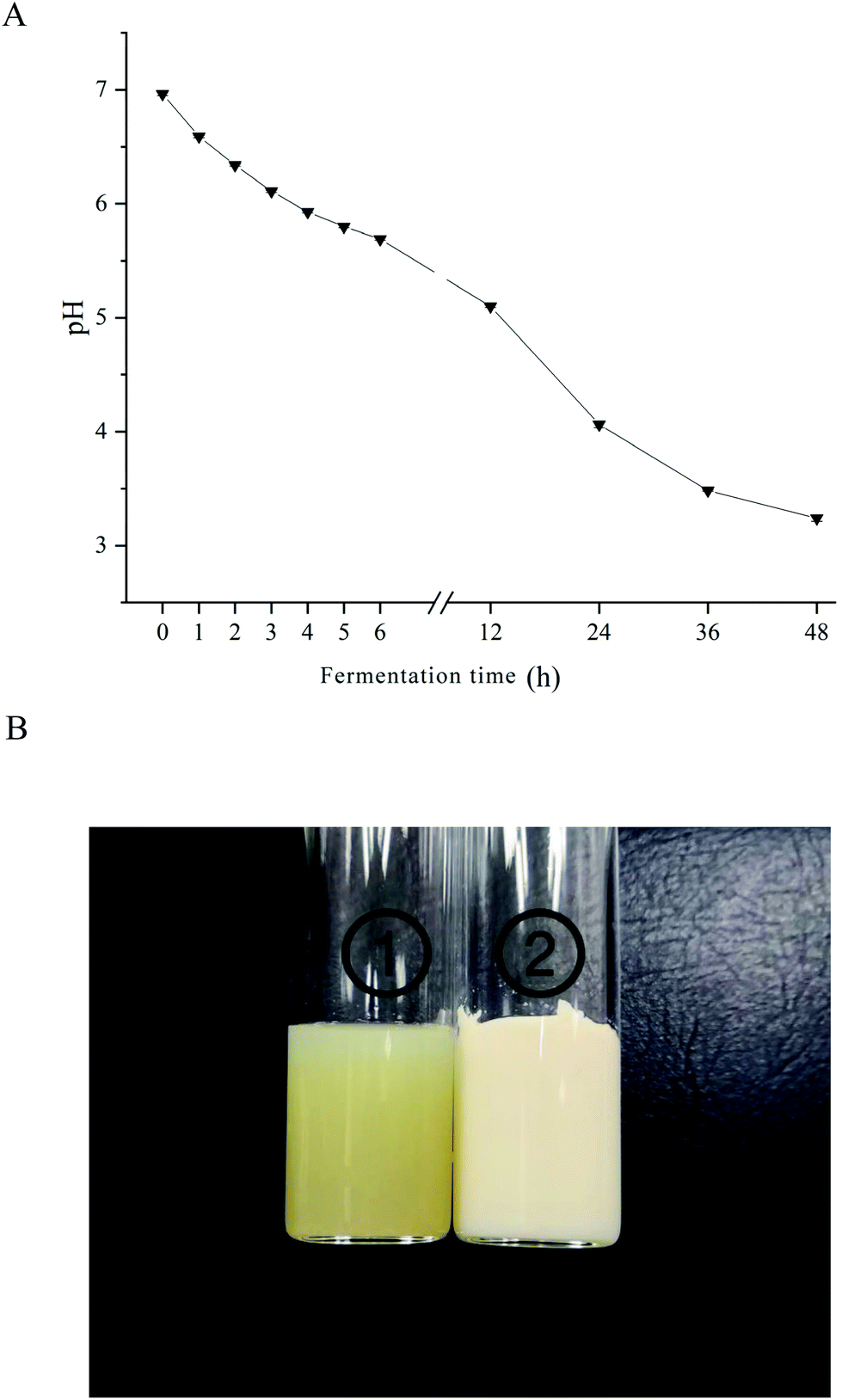 Bionic Ferment Lactique