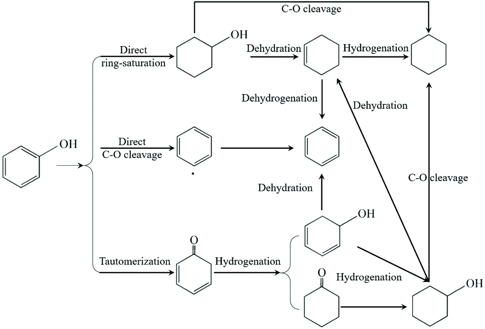 Recent Advances In The Selective Catalytic Hydrodeoxygenation Of Lignin Derived Oxygenates To Arenes Green Chemistry Rsc Publishing Doi 10 1039 C9gca