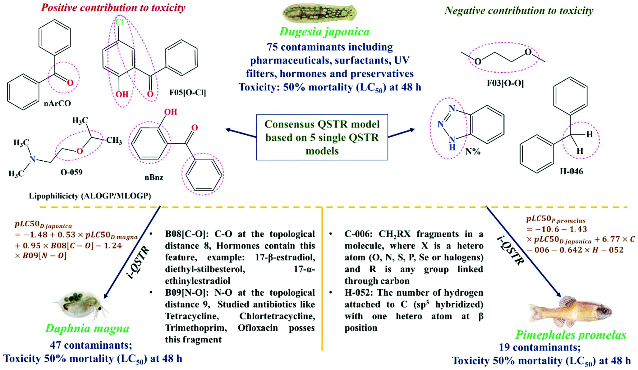 Ecotoxicological Assessment Of Pharmaceuticals And Personal Care Products Using Predictive Toxicology Approaches Green Chemistry Rsc Publishing Doi 10 1039 C9gcg