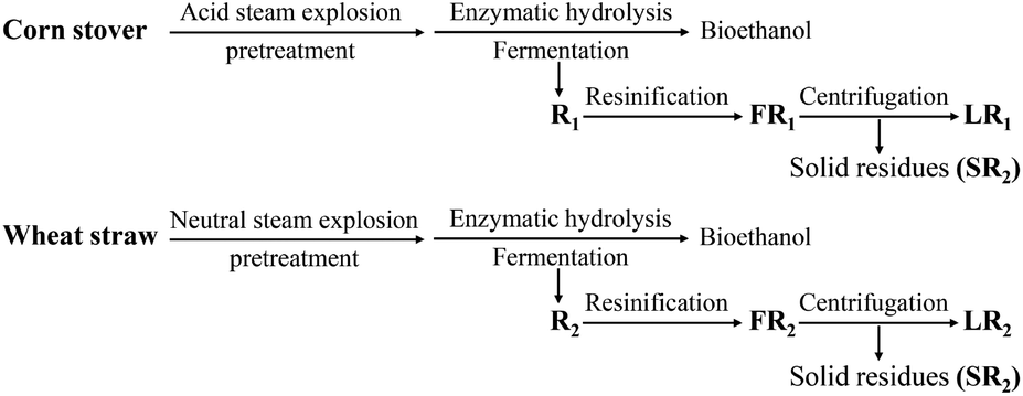 The direct transformation of bioethanol fermentation residues for