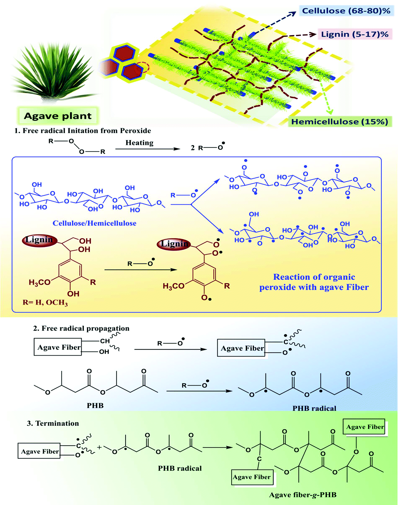 Sustainable Composites From Poly 3 Hydroxybutyrate Phb Bioplastic And Agave Natural Fibre Green Chemistry Rsc Publishing Doi 10 1039 D0gcd
