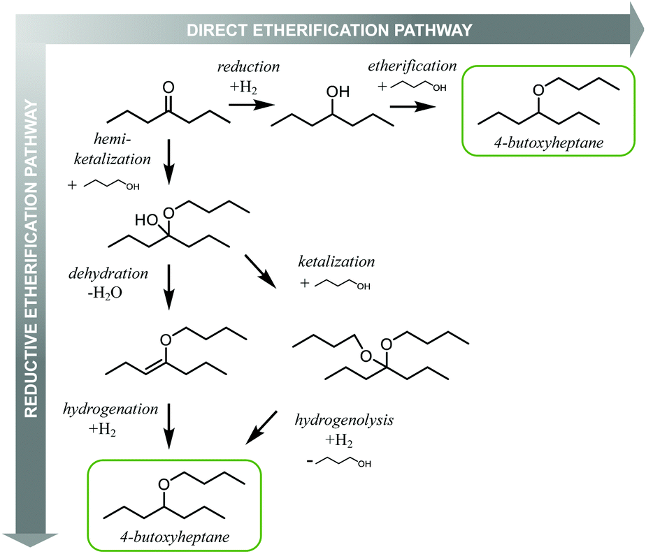 Catalytic Reductive Alcohol Etherifications with Carbonyl‐Based