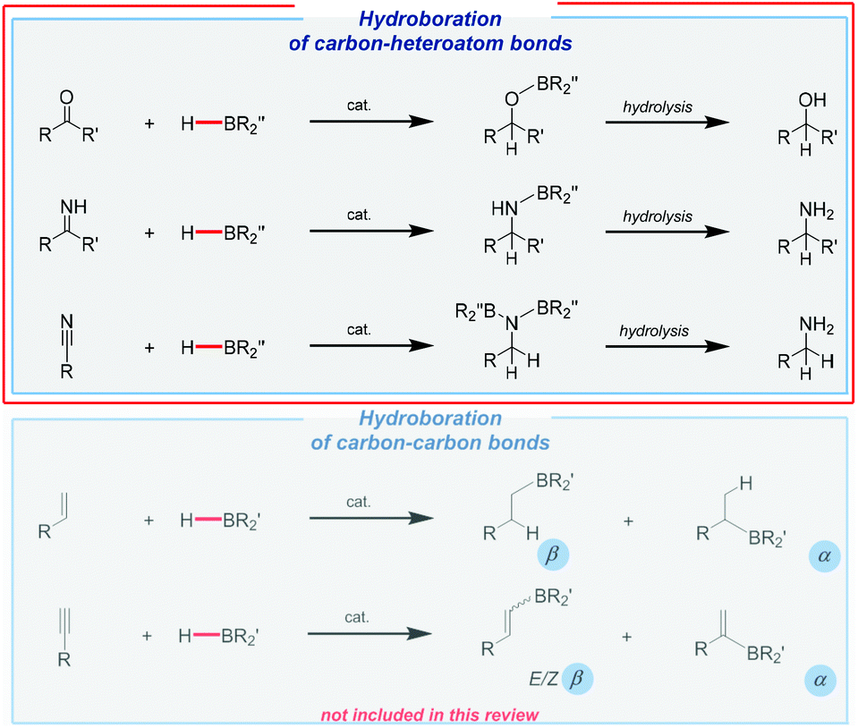 Hydroboration of various unsaturated systems. 