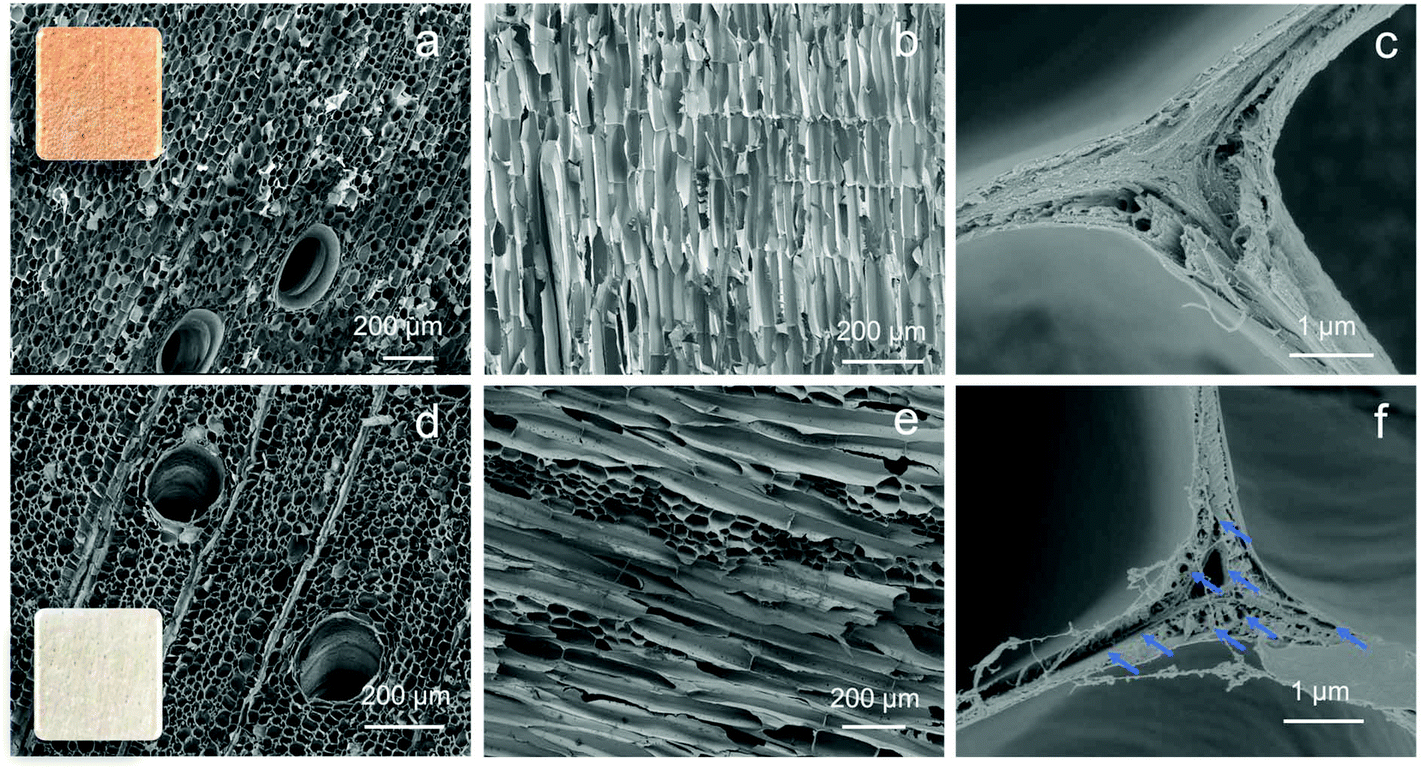 Enrichment Of Glycopeptides Using Environmentally Friendly Wood Materials Green Chemistry Rsc Publishing Doi 10 1039 D0gcb