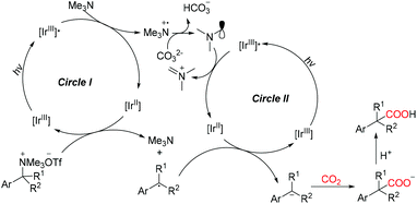 Photocarboxylation with CO 2 : an appealing and sustainable