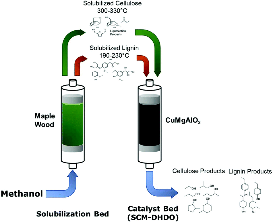 Production of renewable alcohols from maple wood using supercritical  methanol hydrodeoxygenation in a semi-continuous flowthrough reactor -  Green Chemistry (RSC Publishing) DOI:10.1039/D0GC03218B