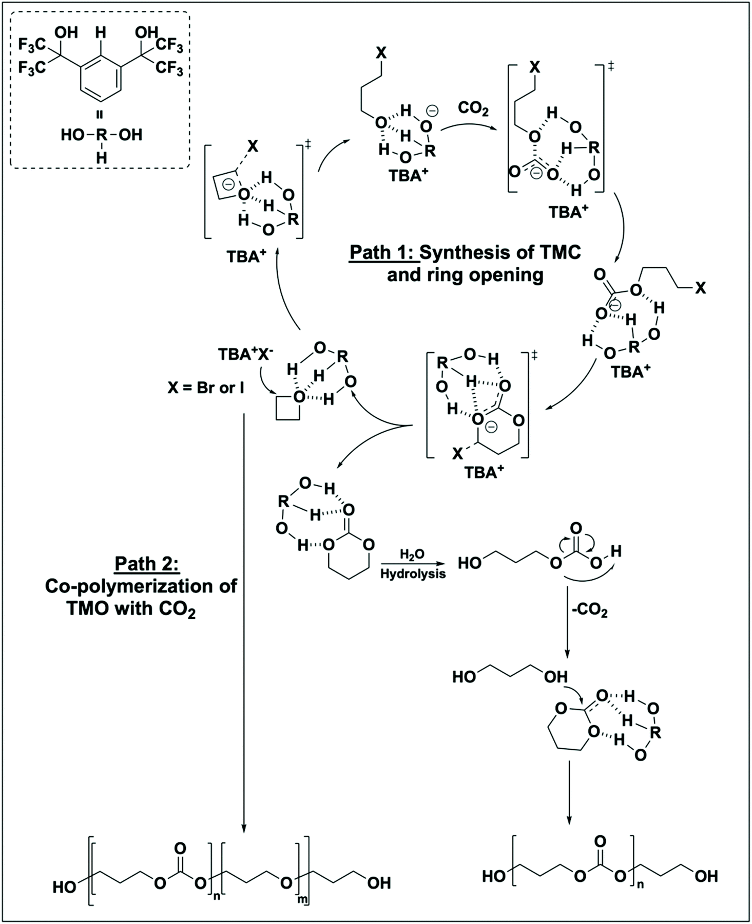 Catalysis Of Carbon Dioxide And Oxetanes To Produce Aliphatic Polycarbonates Green Chemistry Rsc Publishing Doi 10 1039 D0gck