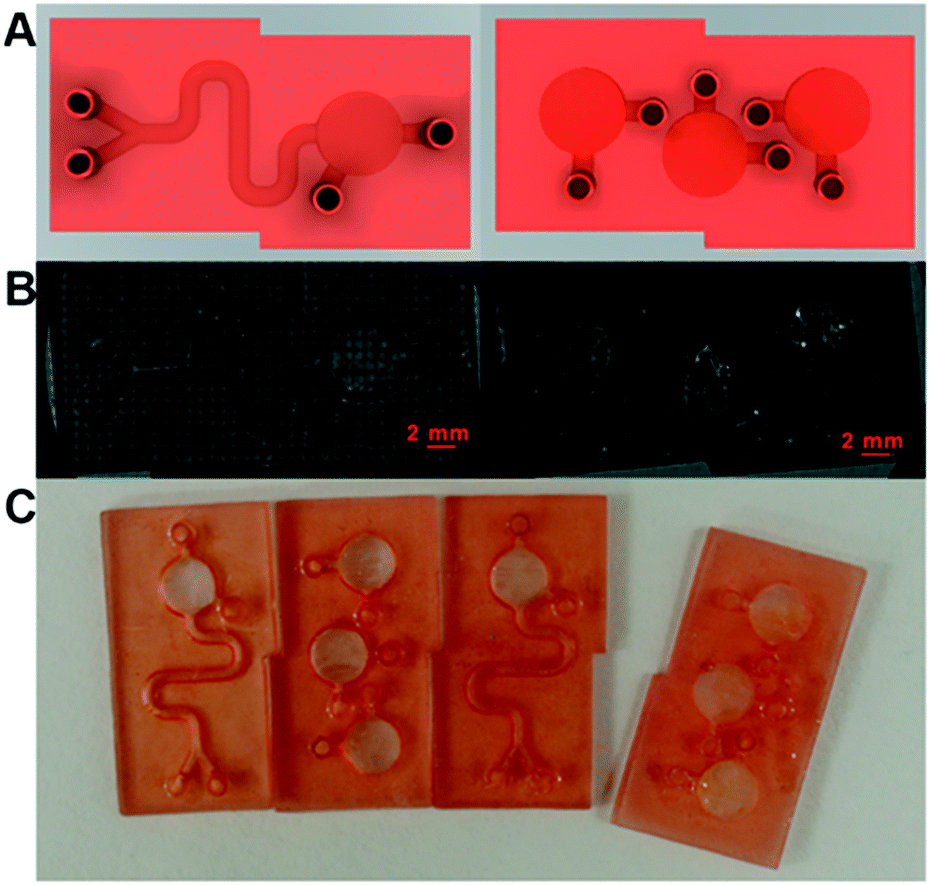 A modular 3D printed lab-on-a-chip for early cancer detection