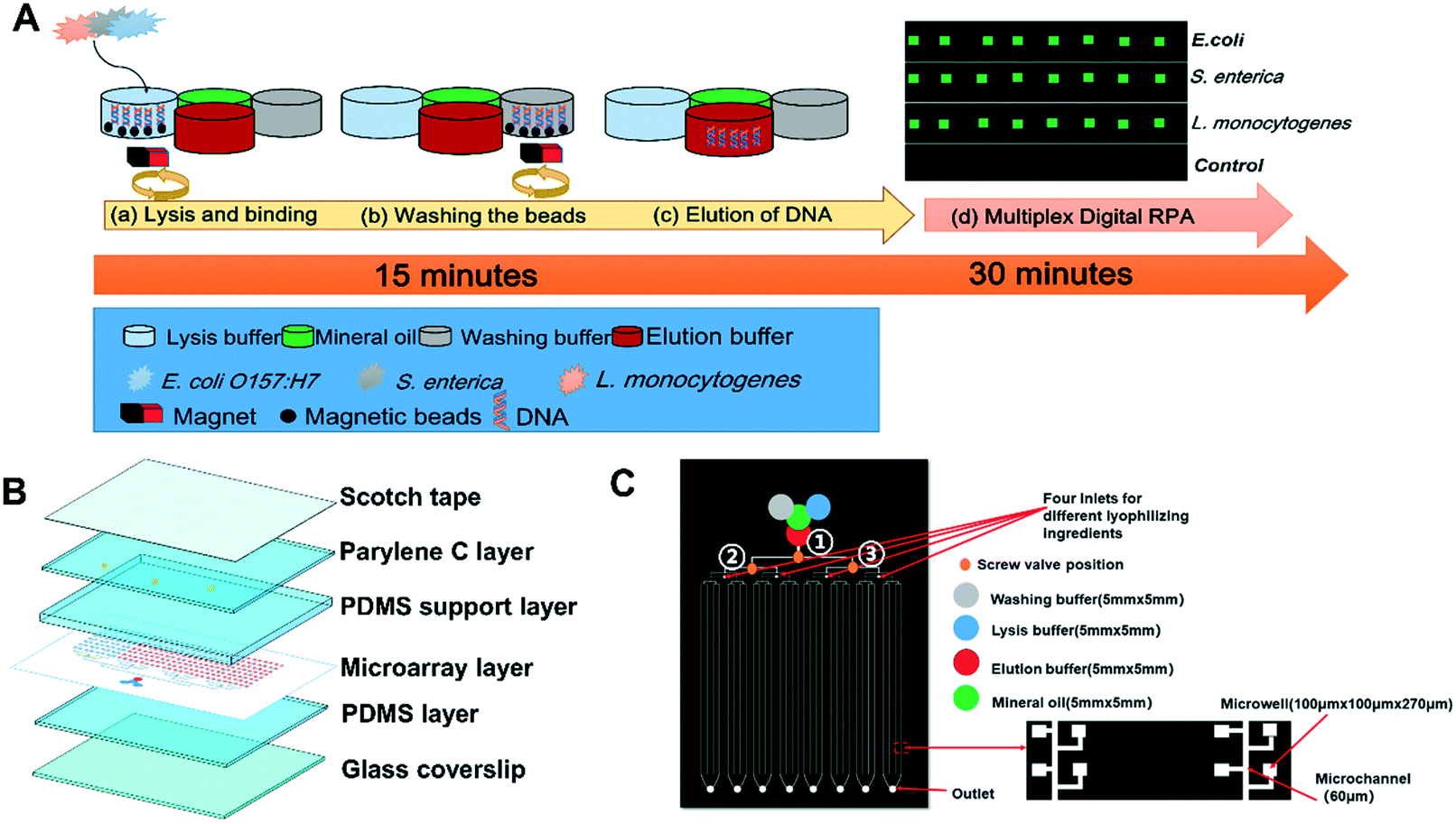 A Sample In Multiplex Digital Answer Out Chip For Fast Detection Of Pathogens Lab On A Chip Rsc Publishing Doi 10 1039 C9lca