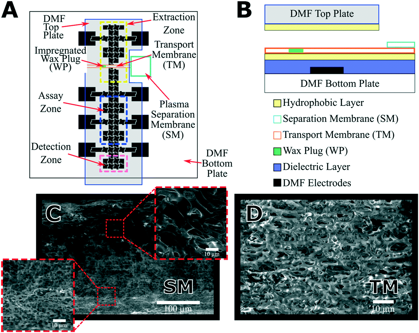 Direct loading of blood for plasma separation and diagnostic