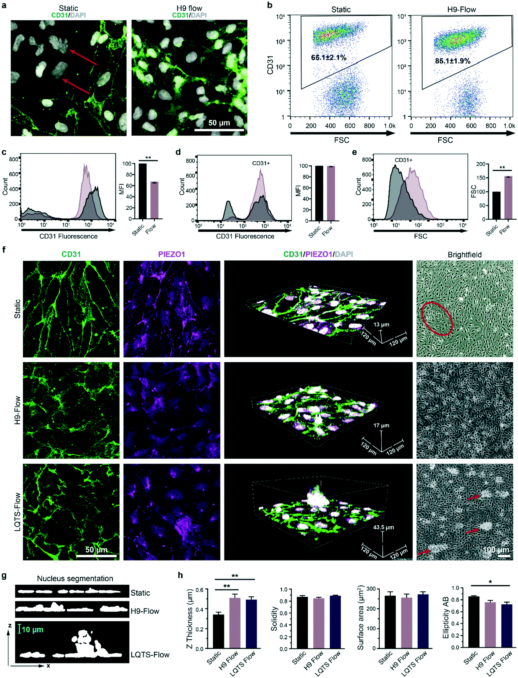 Drivers Quantitative imaging