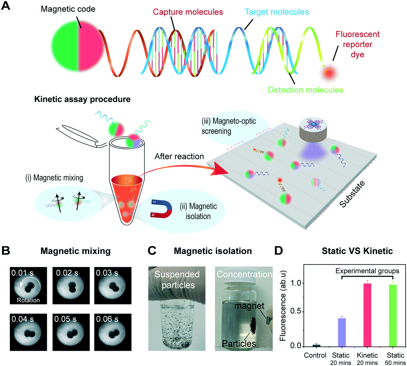 Coding and decoding stray magnetic fields for multiplexing kinetic bioassay  platform - Lab on a Chip (RSC Publishing) DOI:10.1039/D0LC00848F
