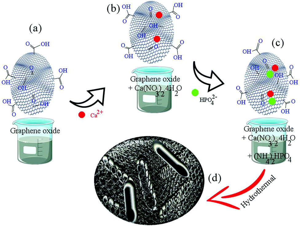 Low temperature consolidation of hydroxyapatite-reduced graphene 
