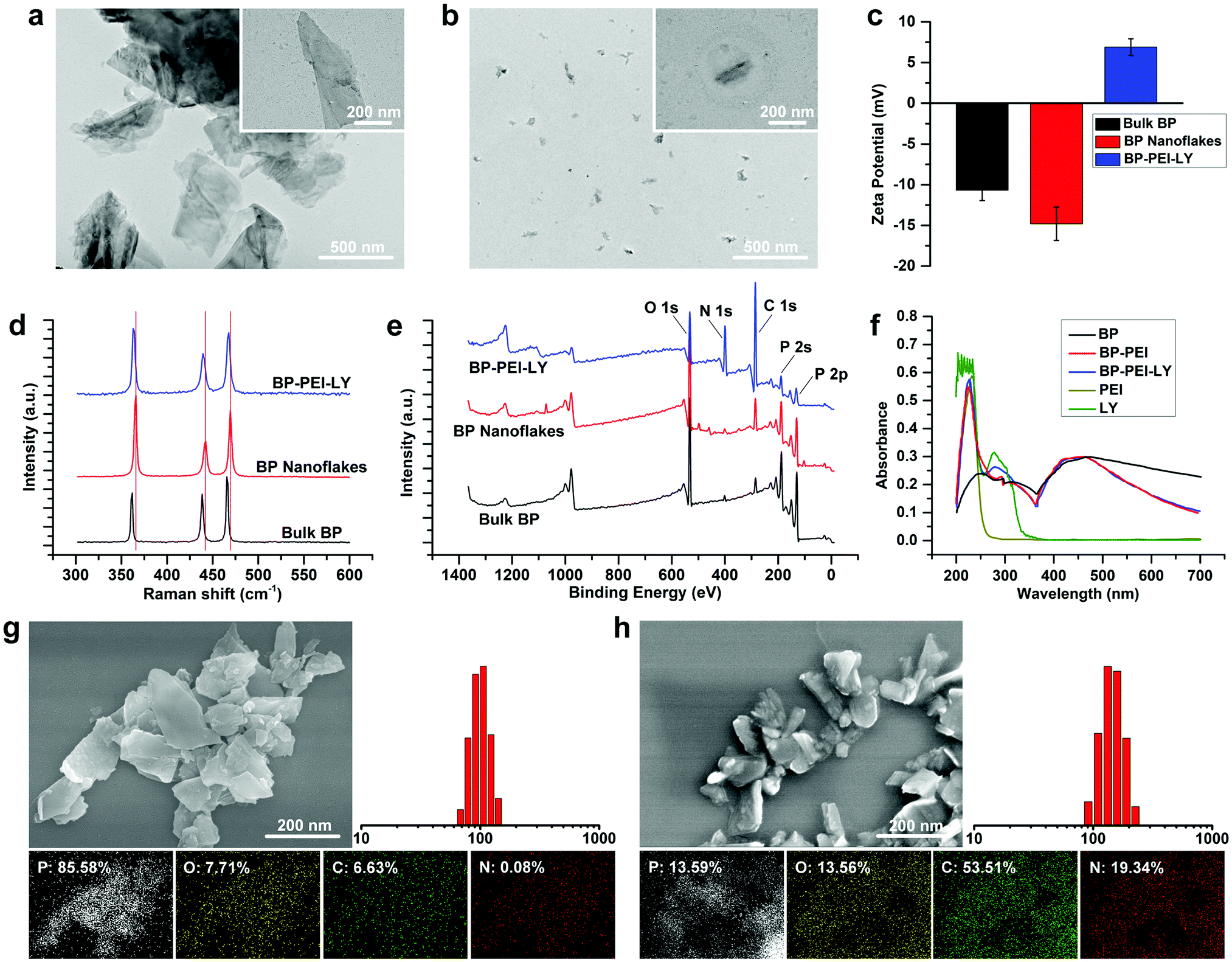 A neutrophil membrane-functionalized black phosphorus riding 