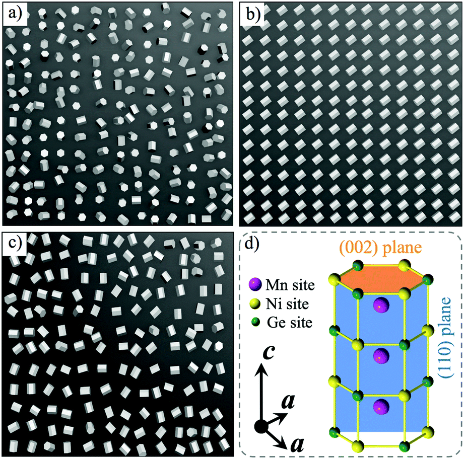 Cone-spiral magnetic ordering dominated lattice distortion and 