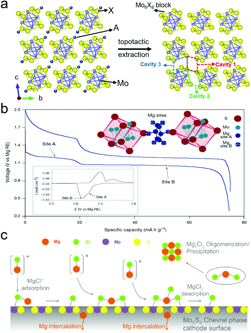 Crystal regulation towards rechargeable magnesium battery cathode 