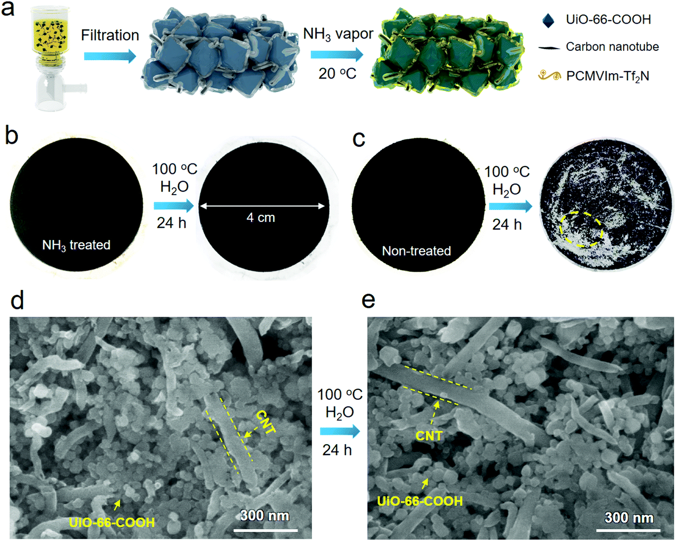 A cationitrile sequence encodes mild poly(ionic liquid 