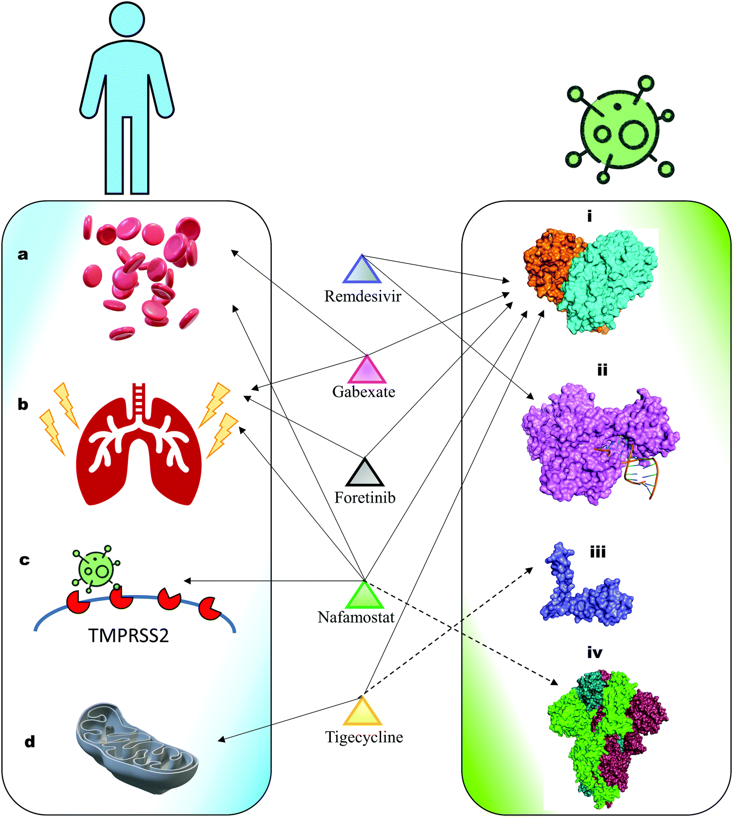 Repurposing Drugs Against The Main Protease Of Sars Cov 2 Mechanism Based Insights Supported By Available Laboratory And Clinical Data Molecular Omics Rsc Publishing Doi 10 1039 D0mod Repurposing Drugs Against The Main Protease Of Sars Cov 2 Mechanism Based Insights Supported By Available Laboratory And Clinical Data Molecular Omics Rsc Publishing Doi 10 1039 D0mod