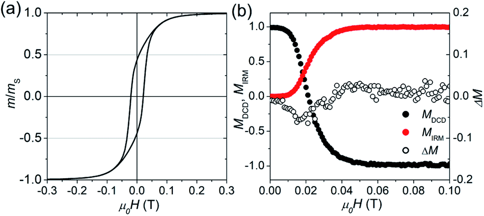 Probing The Stability And Magnetic Properties Of Magnetosome Chains In Freeze Dried Magnetotactic Bacteria Nanoscale Advances Rsc Publishing Doi 10 1039 C9nac