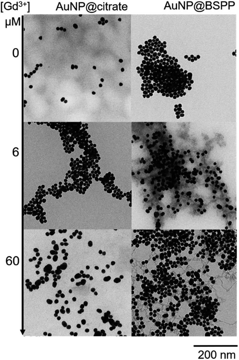 Easy colorimetric detection of gadolinium ions based on gold