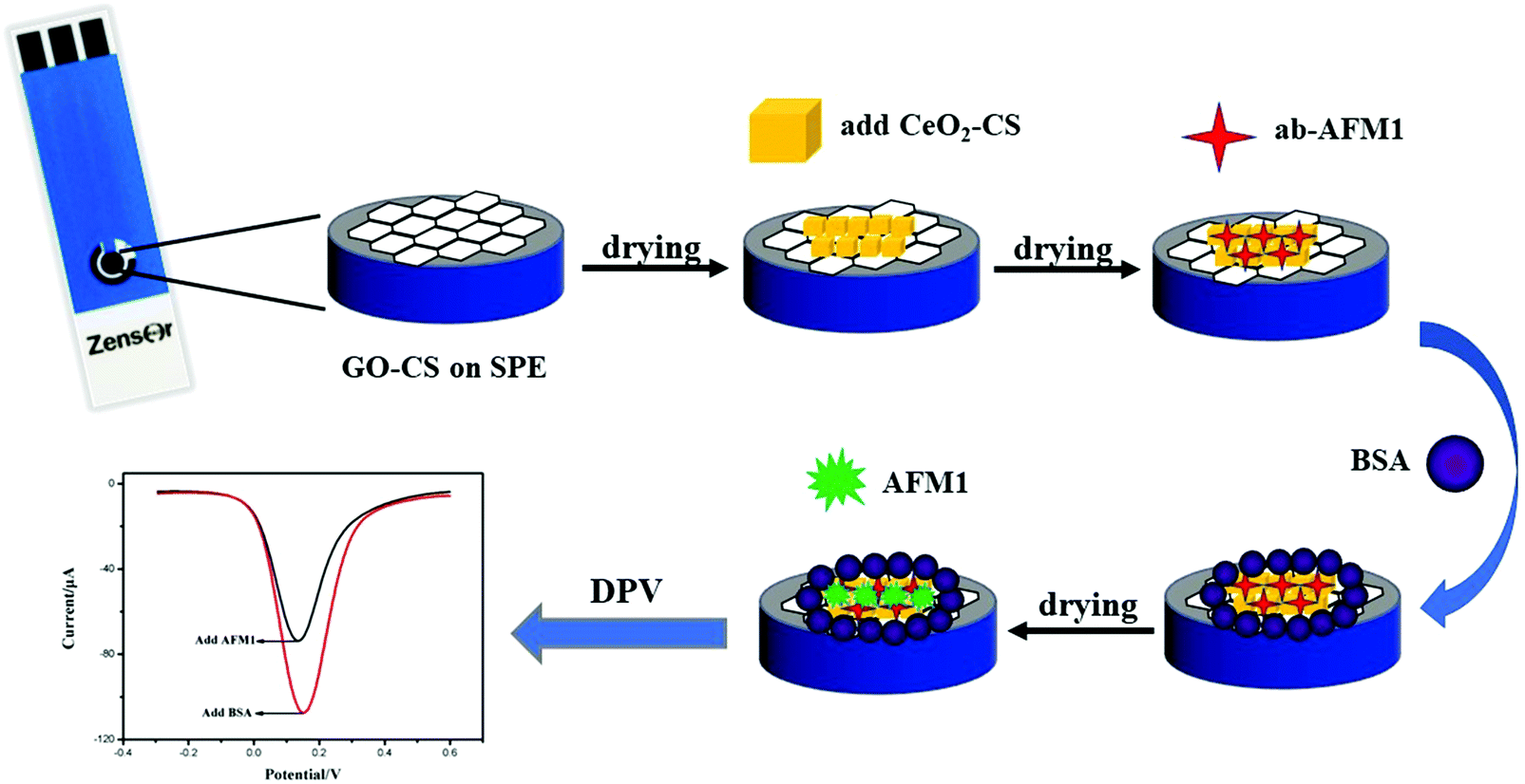 An electrochemical immunosensor based on a combined amplification strategy  with the GO–CS/CeO 2 –CS nanocomposite for the detection of aflatoxin M 1 -  New Journal of Chemistry (RSC Publishing) DOI:10.1039/C9NJ04804A