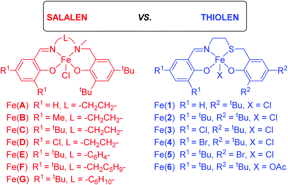 Salalen Vs Thiolen In The Ring Opening Of Epoxide And Cyclic Carbonate Formation New Journal Of Chemistry Rsc Publishing Doi 10 1039 D0njk