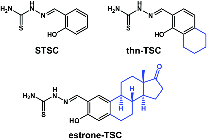 Salicylaldehyde Thiosemicarbazone Copper Complexes Impact Of Hybridization With Estrone On Cytotoxicity Solution Stability And Redox Activity New Journal Of Chemistry Rsc Publishing Doi 10 1039 D0njg