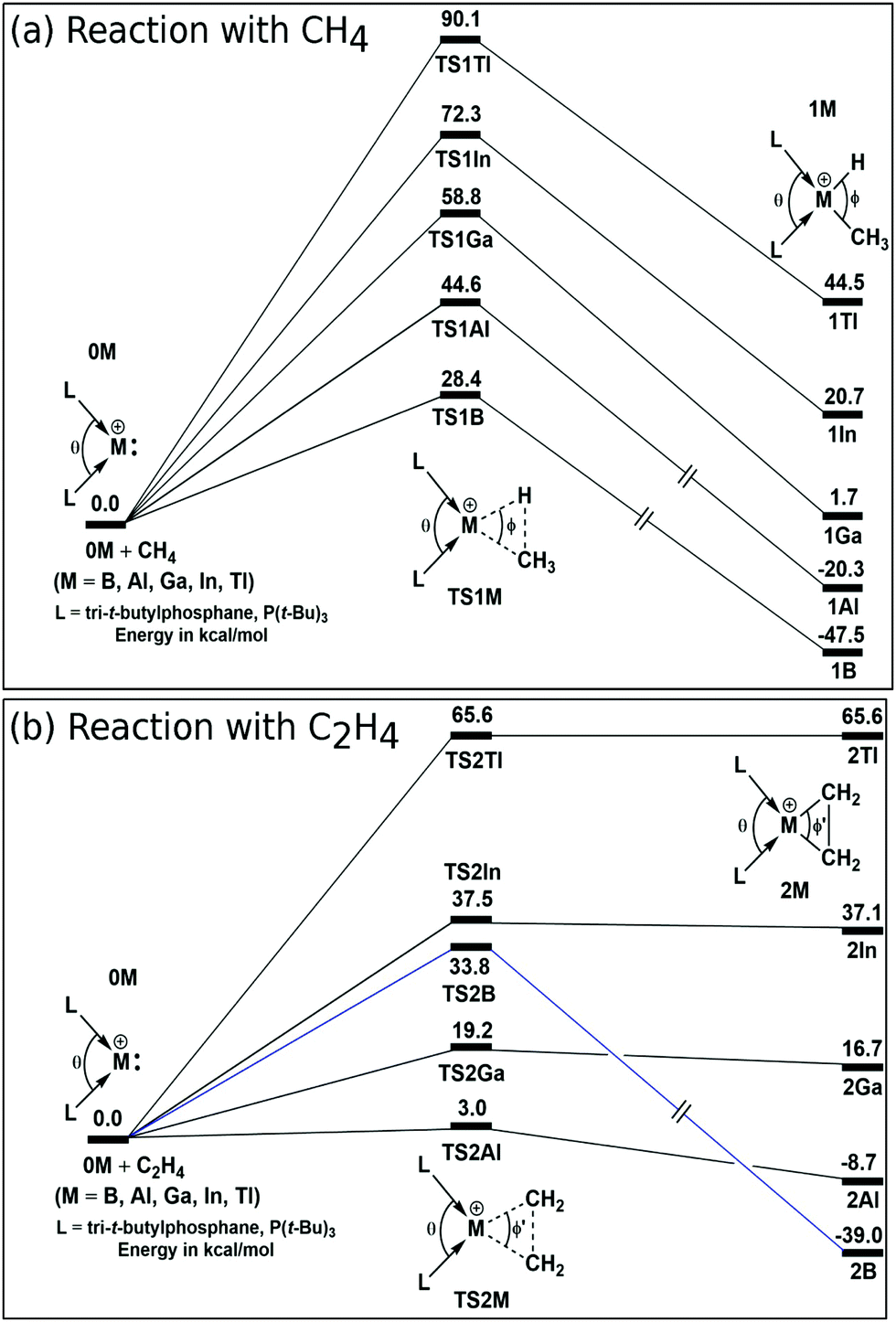 Understanding the reactivity of carbene analogous phosphane