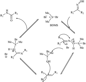 Beckmann rearrangement catalysis: a review of recent advances - New Journal  of Chemistry (RSC Publishing) DOI:10.1039/D0NJ02034F