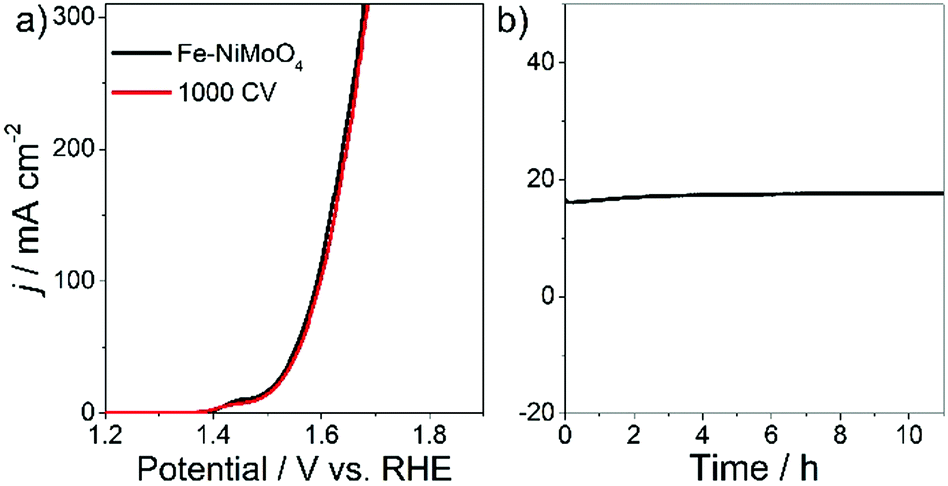 Hybrid-atom-doped NiMoO 4 nanotubes for oxygen evolution reaction 