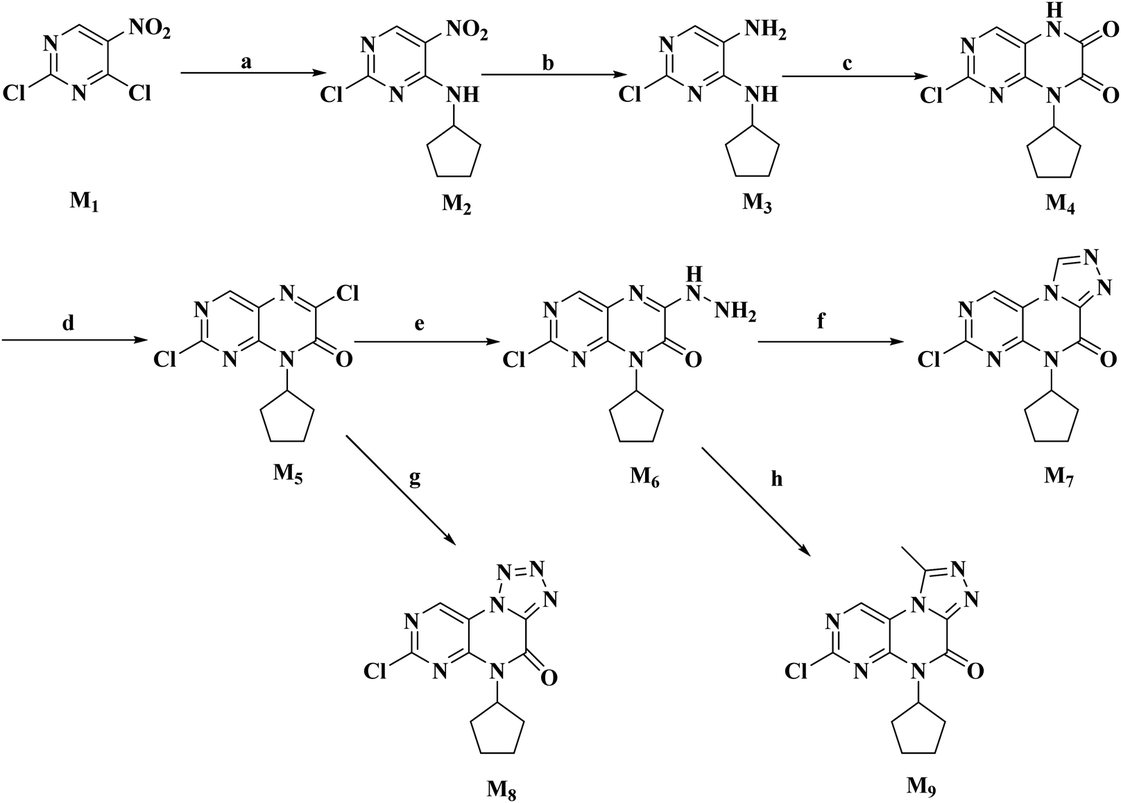 Design Synthesis And Biological Evaluation Of Novel Pteridinone Derivatives As Potent Dual Inhibitors Of Plk1 And Brd4 New Journal Of Chemistry Rsc Publishing Doi 10 1039 D0njk