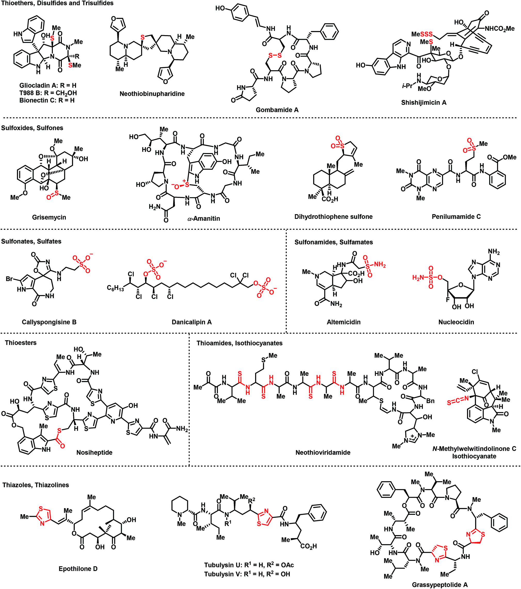 The many facets of sulfur incorporation in natural product biosynthesis -  ScienceDirect